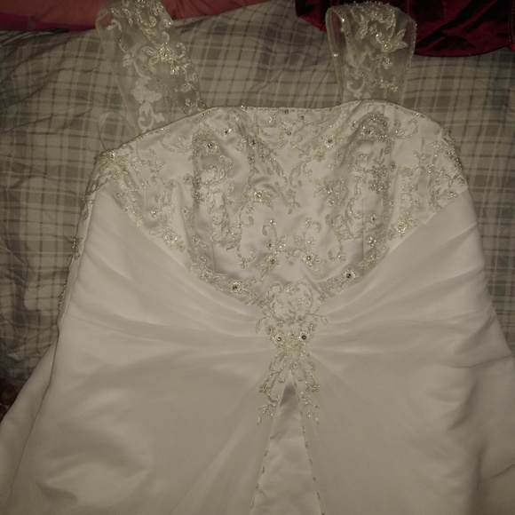 David's Bridal Wedding Dress - Picture 4 of 8